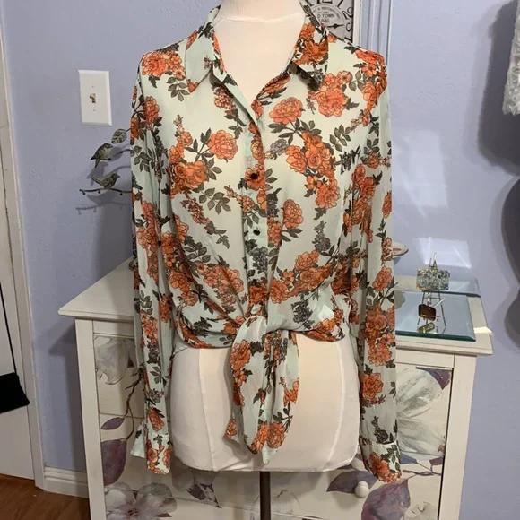 Given as GiftbSemi Sheer Shirt Tail Blouse - Picture 1 of 7